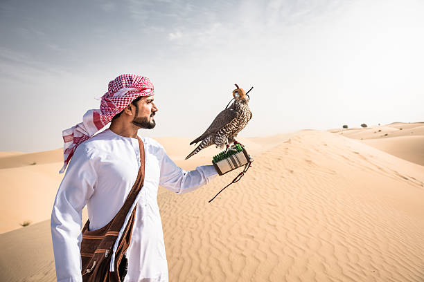 jeque árabe en el desierto sosteniendo un halcón - agal fotografías e imágenes de stock