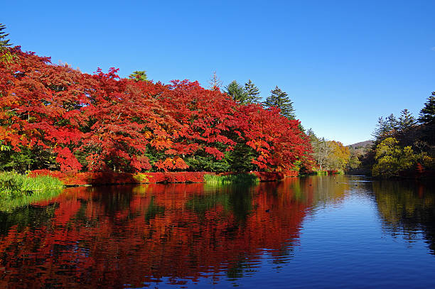 くもま池の紅葉