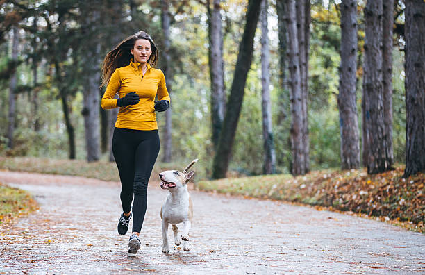 istock Jogging in the morning with the dog 627110552