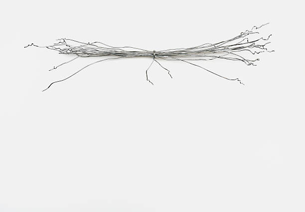 istock Twisted Aluminum Wire Top Border 627117224