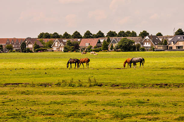 istock European natural countryside 627117442