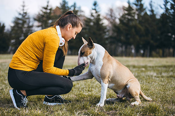 istock Live a healthy life together 627117786