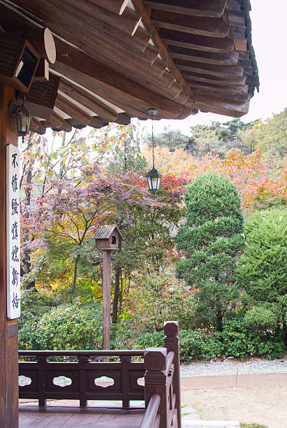 istock Korean traditional building with nature (autumn) 627118148