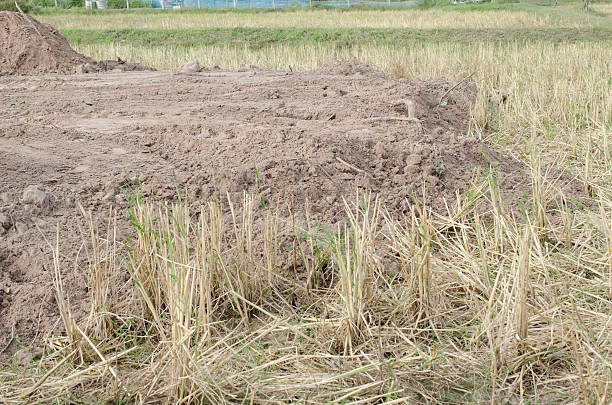 istock Soil reclamation fields after the harvest. Preparation for const 627126318