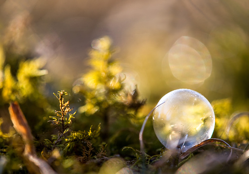 Icy frozen soap bubble sphere on mossy ground with bokeh and de-focused background