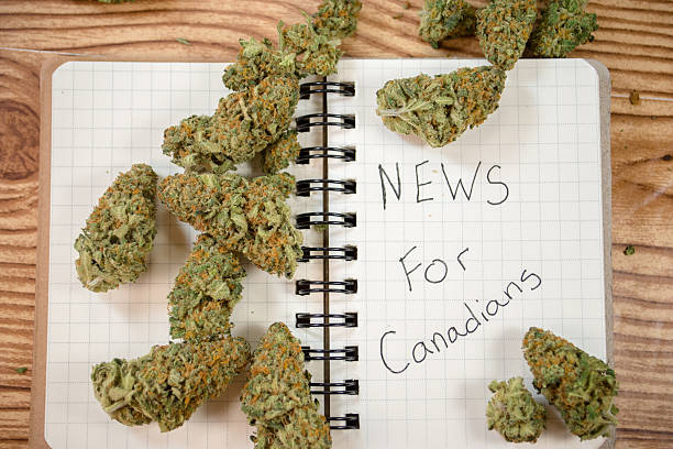 istock News for canadians note green 627127070