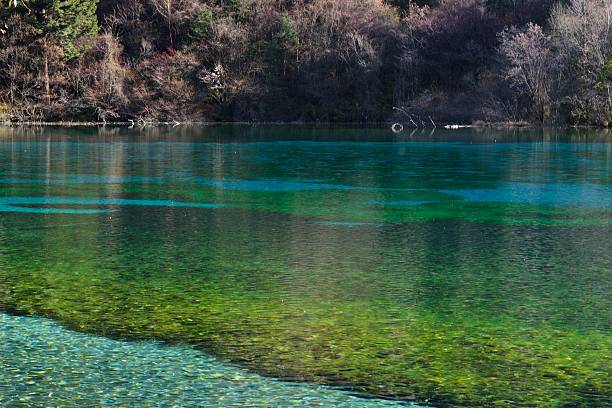 istock Jiuzhaigou Valley Scenic and Historical Interest Area 627128174