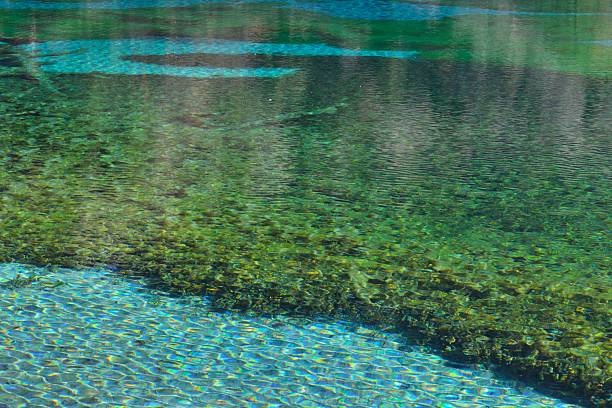 istock Jiuzhaigou Valley Scenic and Historical Interest Area 627128256