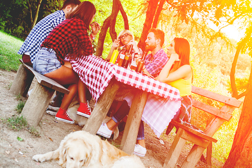 Smiling couple looking at each other and toasting with wineglasses at picnic.