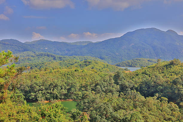 istock Tai Lam Chung Hong Kong 627141320