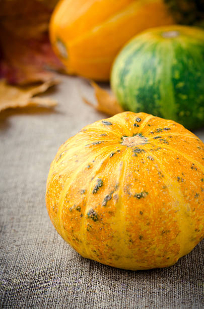 istock Fall pumpkin and decorative squash with autumn leaves on a 627147060