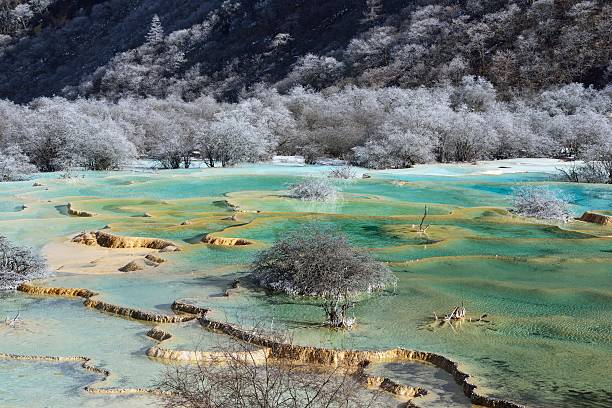 Huanglong of Winter scenery