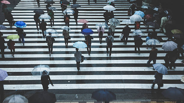 istock People across the crosswalk on a rainy day 627147172