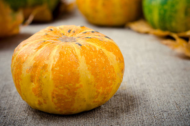 istock Fall pumpkin and decorative squash with autumn leaves on a 627147174