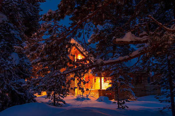 A lonely house in a pine forest