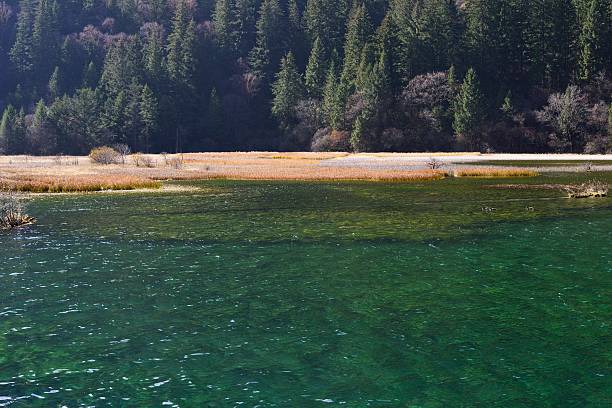 istock Jiuzhaigou Valley of Autumn scenery 627150314