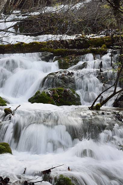 istock Waterside scenery of Jiuzhaigou Valley 627156236