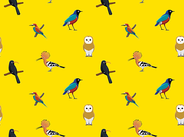 illustrazioni stock, clip art, cartoni animati e icone di tendenza di random african birds - sfondo 3 - gruccione