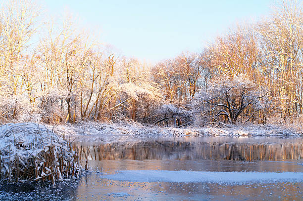 istock Winter on the frozen river 627162752