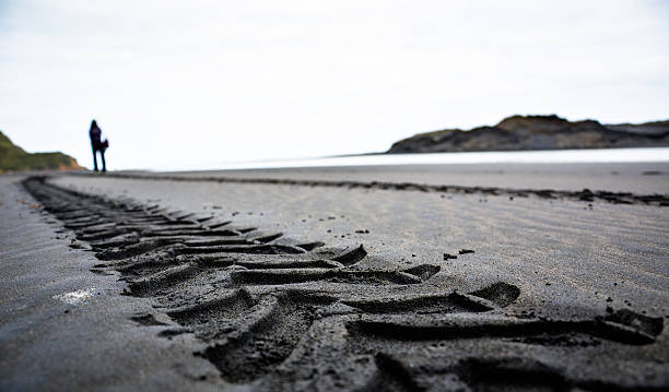 Tire tracks on the beach Tire tracks on the beach that lead to a certain place. Taken on a beach in Waitomo area, New Zealand.  waitomo caves stock pictures, royalty-free photos & images