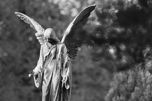 Angel statue at the Melaten Graveyard (Melatenfriedhof) in Cologne.