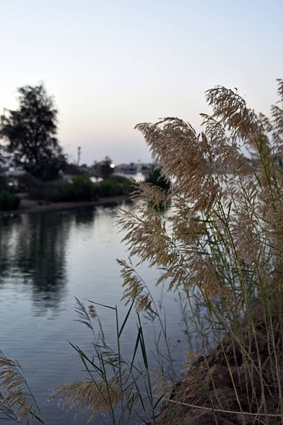 Al Qudra Lake, Dubai, United Arab Emirates