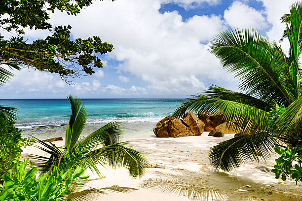 Amazing tropical beach stock photo