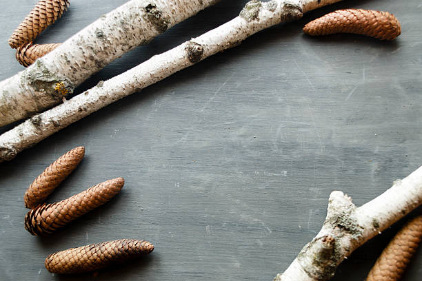 istock Christmas Holidays Background With Pine Cones and birch 627183980
