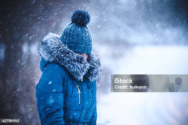 Girl Has Muffled In A Warm Collar From A Blizzard Stock Photo - Download Image Now - Blizzard, Boys, Branch - Plant Part