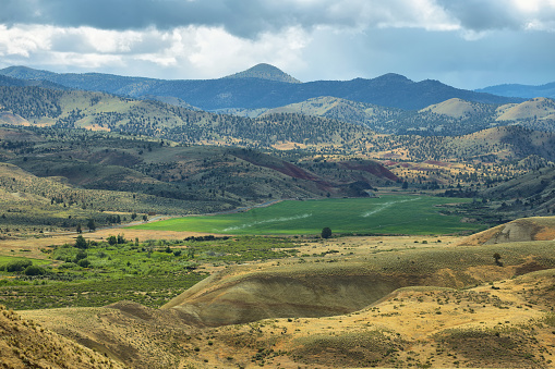 View of green and mountains from Carroll rim trail in Painted Hills National Monument in Oregon, USA