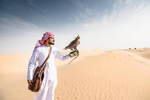 arabischer scheich in der wüste, der einen falken hält - falke stock-fotos und bilder
