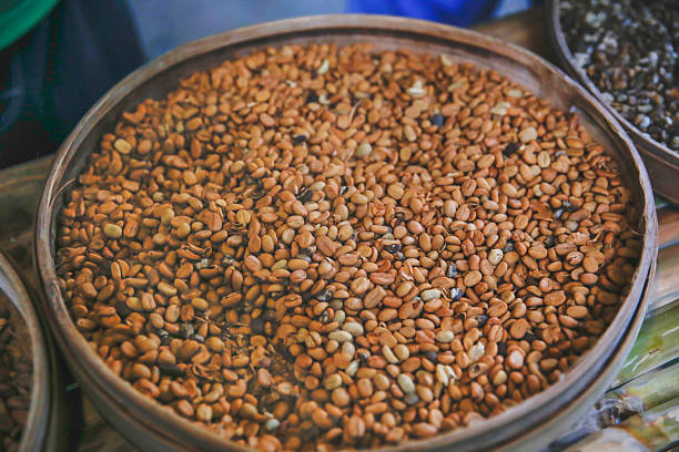 istock Luwak raw and roasted coffee bean 627198250