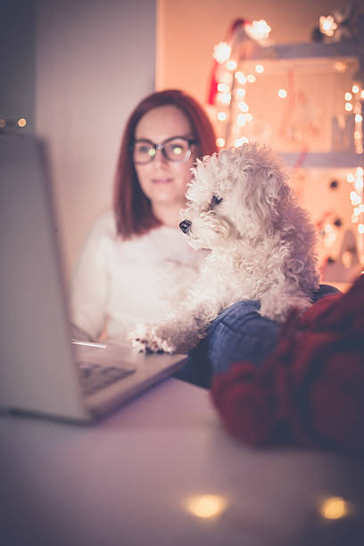 istock People, pets and love for animals. 627199380