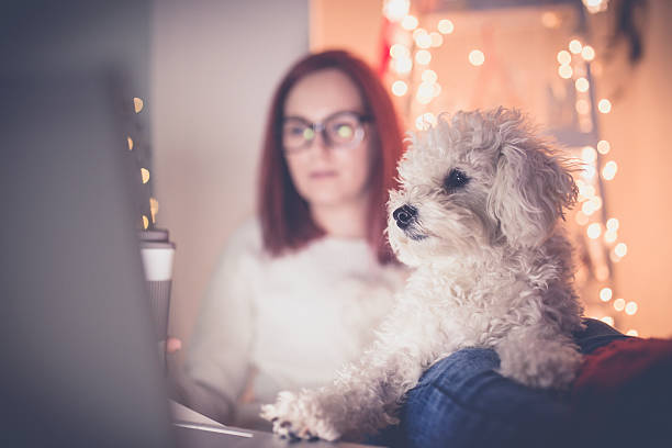istock People, pets and love for animals. 627199418