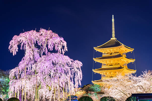 quioto na primavera - japanese culture landscape landscaped ornamental garden imagens e fotografias de stock