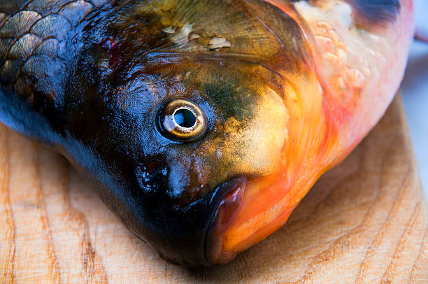istock Raw fish close-up on wooden cutting board 627210830