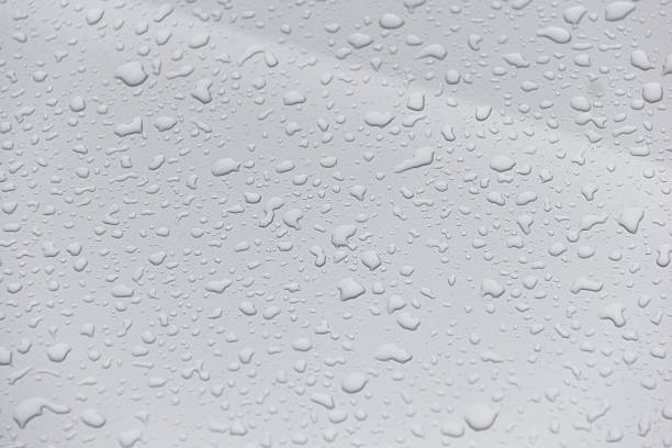 istock wet drop water on the white car texture 627211250