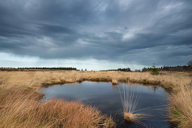 istock Dramatic sky by a pond in National Park Hautes Fagnes . 627219094