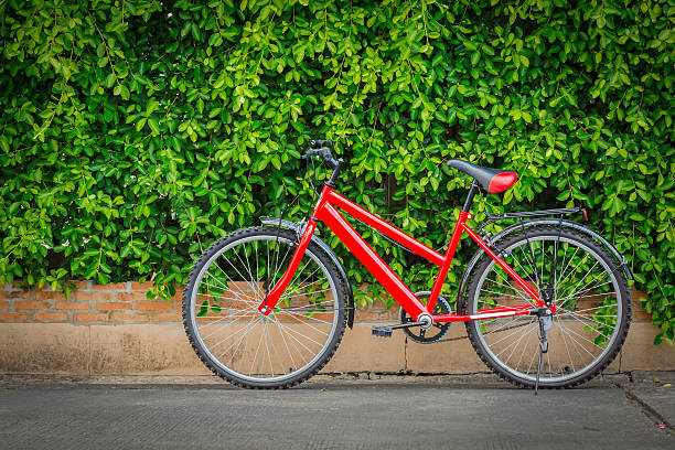 istock Red bike with blue 627219778