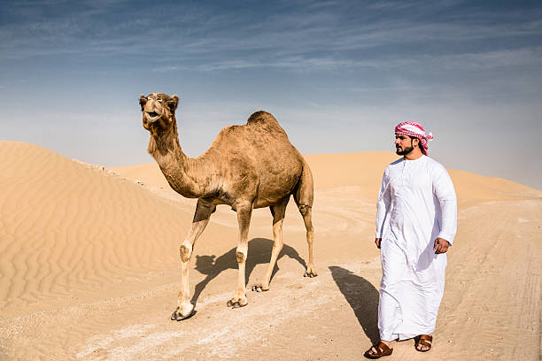 cheik arabe sur le désert marchant avec le chameau - middle eastern ethnicity sheik wealth men photos et images de collection
