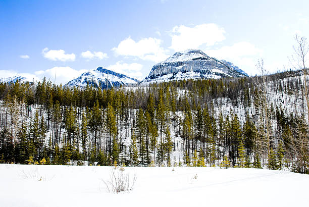 istock Mountain Range in Kootenay, Canadian Rockies 627226574