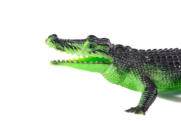 istock Green plastic crocodile isolated on white background. 627227158