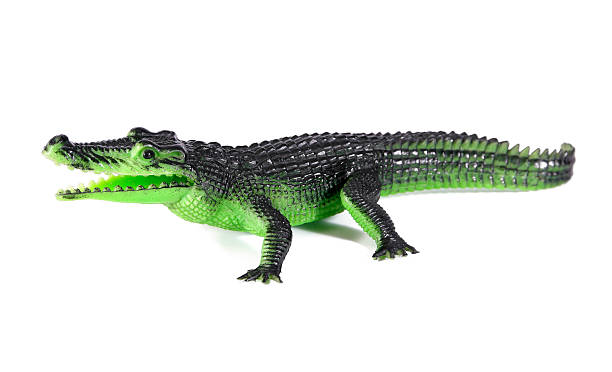 istock Green crocodile toy isolated on white background.Plastic crocodile toy 627227216