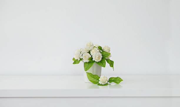 istock the artificial jasmine flower in the pot at the table 627229356