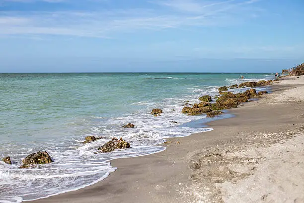On the Gulf Coast of Florida is a beautiful natural area of beach known for sharks teeth.