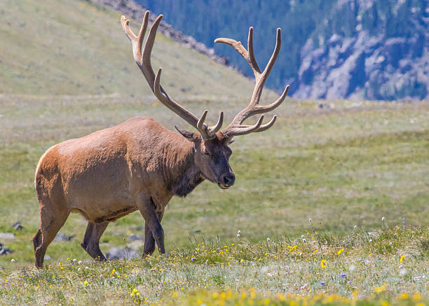 Colorado, Rocky Mountains