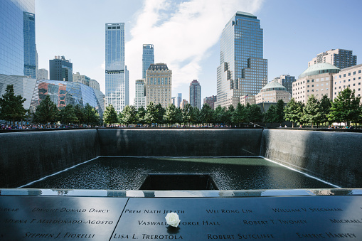 New York, USA - September 7, 2016: White rose on the south pool of the 9-11 memorial in Manhattan, New York.