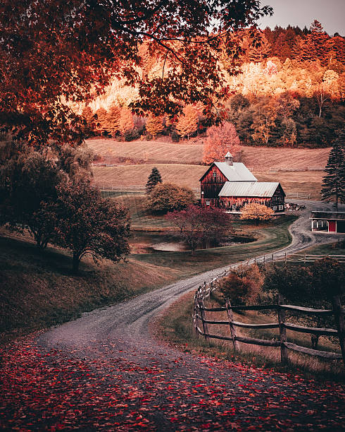 バーン秋の - house barn residential structure rural scene ストックフォトと画像