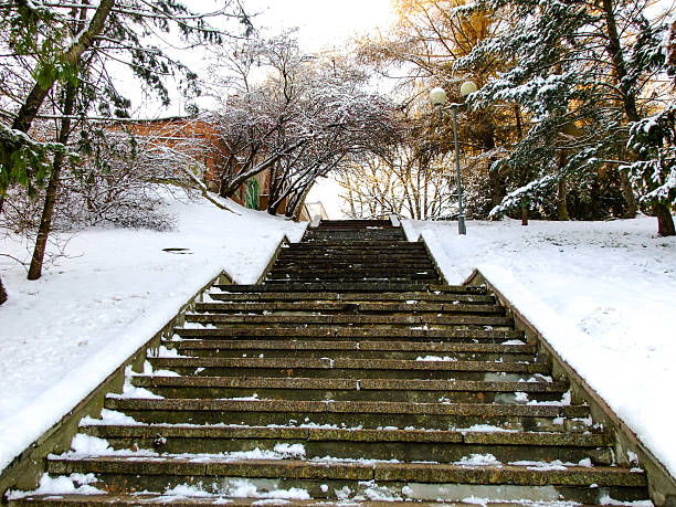 istock Stairs leading up to the Winter 627247878