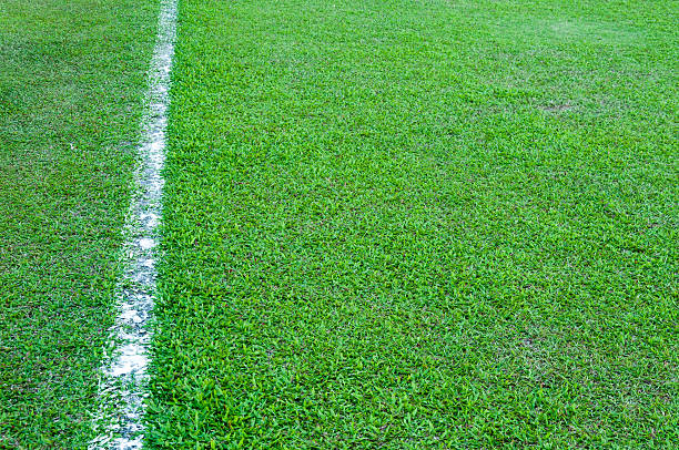 istock Real Green grass texture of a soccer field 627252426